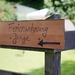 Junge 4 Daire