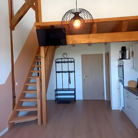 Junge 4 Apartment *