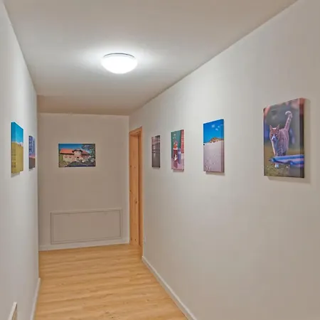 Junge 4 Apartment