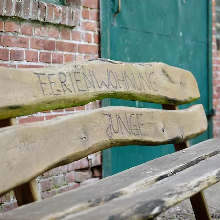 Junge 4 * Lohe-Rickelshof