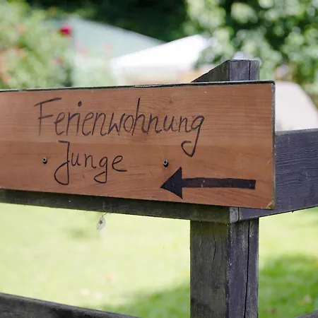 Junge 4 Lejlighed
